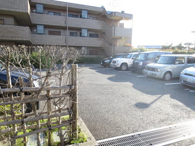 Parking lot. Parking lot