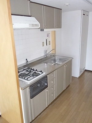 Mitaka City, Tokyo Iguchi 3