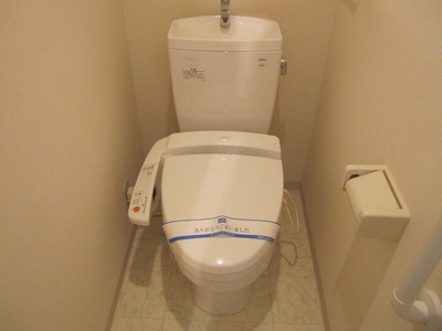 Toilet. Clean toilet