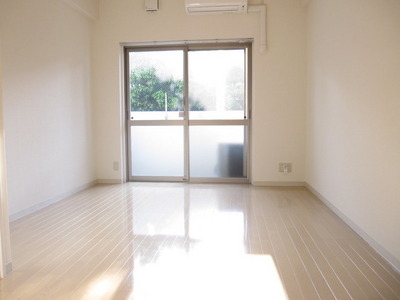 Living and room. Bright interior