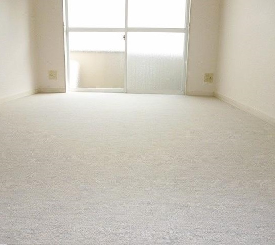 Living and room. Living room