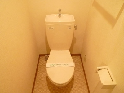 Toilet. Clean toilet