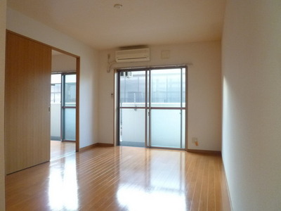 Living and room. Large living