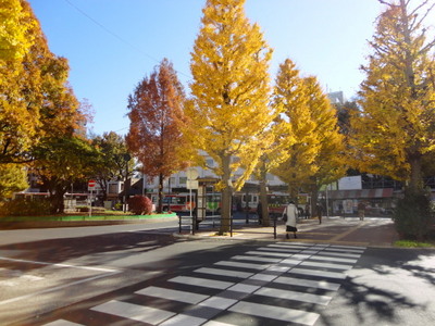 Other. 720m to Mitaka Station Rotary (Other)