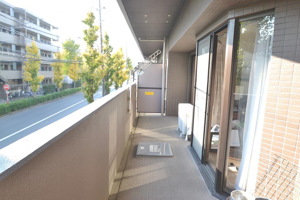 Balcony. Local (11 May 2013) Shooting