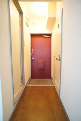 Entrance. Entrance hall of the room ☆