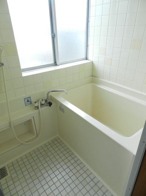 Bath. It is a daylight bathroom