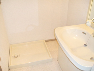 Washroom. Independent wash undressing room