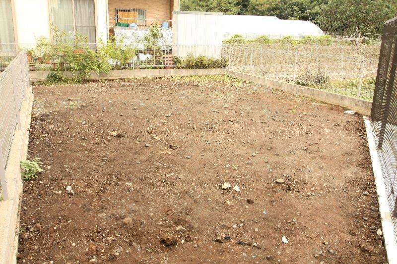 Other local. Local (10 May 2013) Shooting