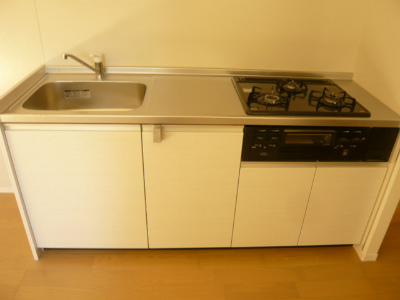 Kitchen. System is a kitchen with a grill!