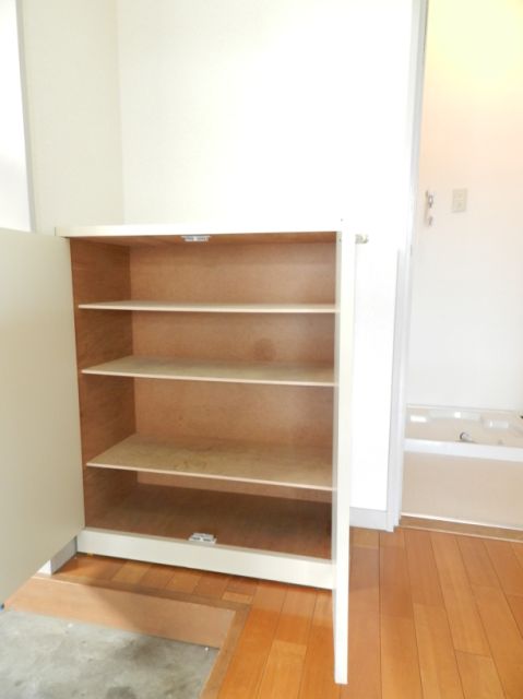 Entrance. Also have a cupboard!