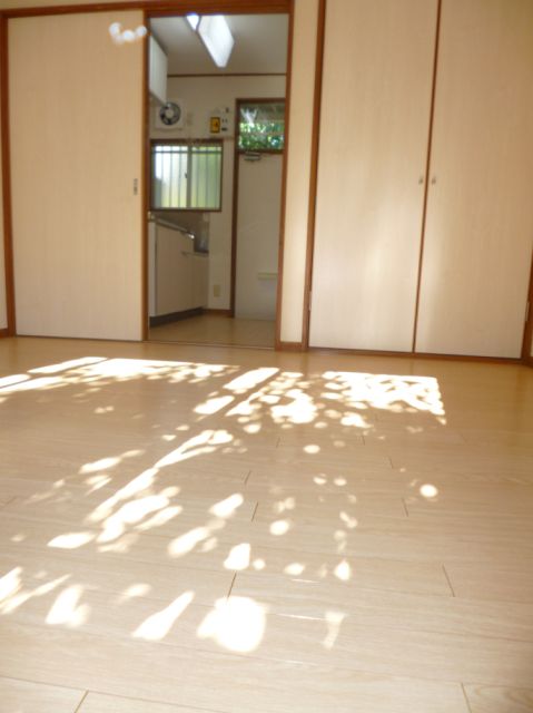 Living and room. Bright and clean room.