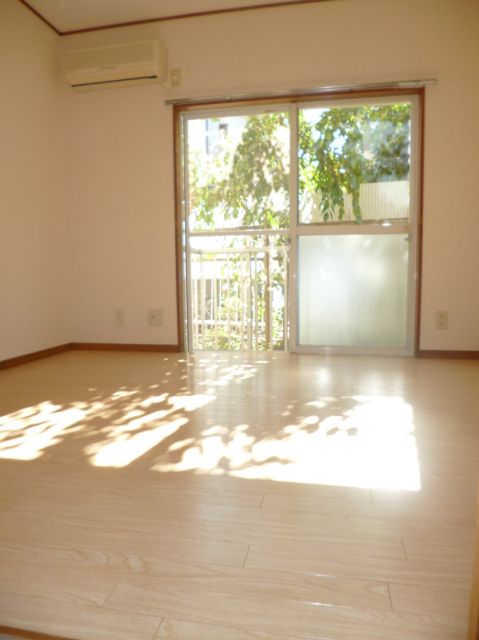 Living and room. Bright rooms from the window day shine in.