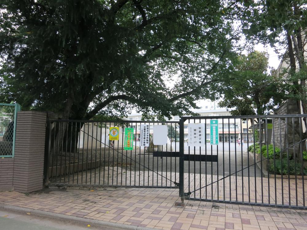 Primary school. Takaminami to school Mitaka Municipal Nakahara Elementary School 593m