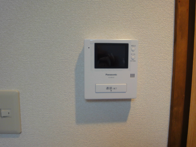 Other. In the TV door phone