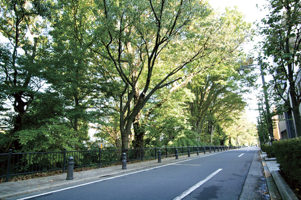 Building structure. POINT2 Mitaka City, Green and water is rich of Housing and Urban. Nature, Sport, From culture to lifelong learning, To enrich the life to me facilities and events has been enhanced.  ※ Wind of walking (about 490m / 7-minute walk)