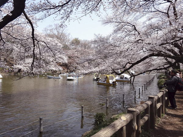Building structure. In rich town of the natural environment if grow POINT3 child. Many of the park, including the "Inokashira Park". Explore the romance of the universe "National Astronomical Observatory of Japan", etc., It is an environment where you can enjoy the luxury of relaxing in nature.  ※ Metropolitan Inokashira Park (about 1290m / 17 minutes walk)