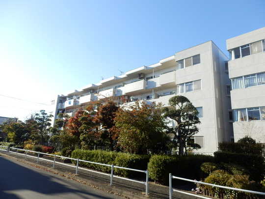 Local appearance photo