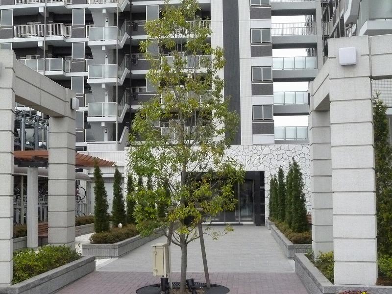 Entrance. Common areas