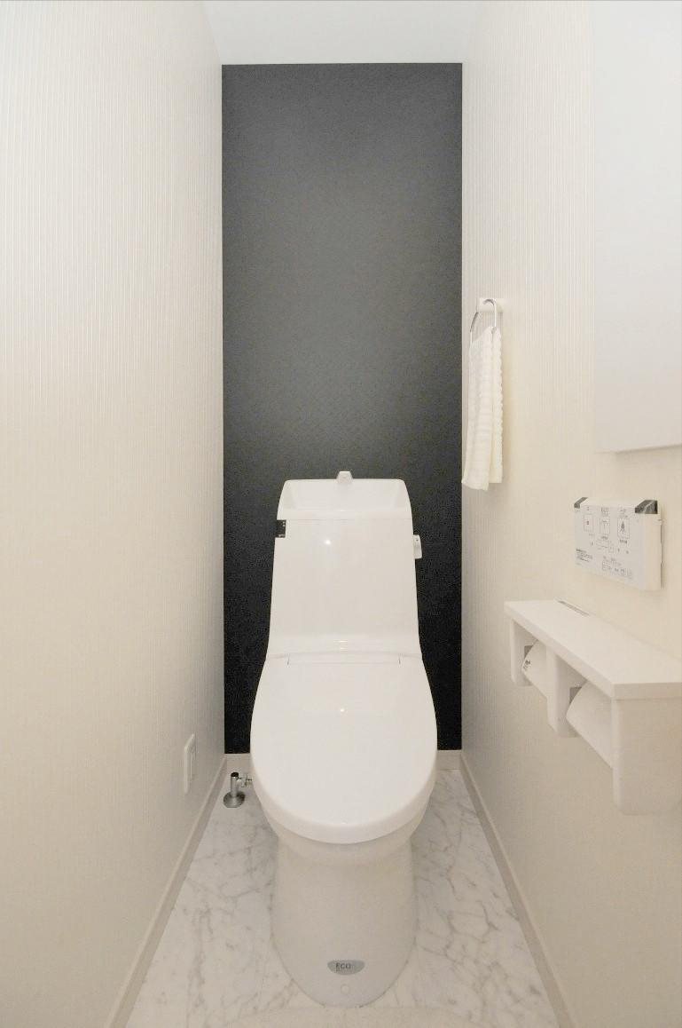 Toilet. Example of construction