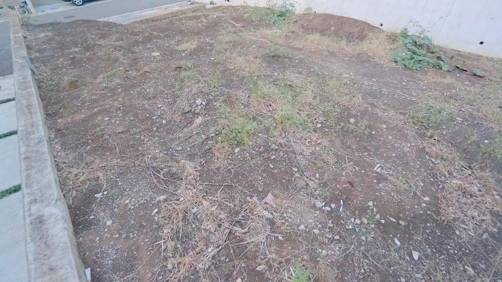 Local land photo. Current state