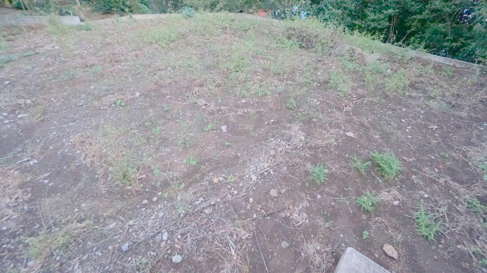 Local land photo. Current state