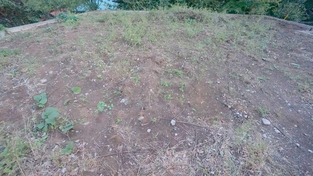 Local land photo. Current state