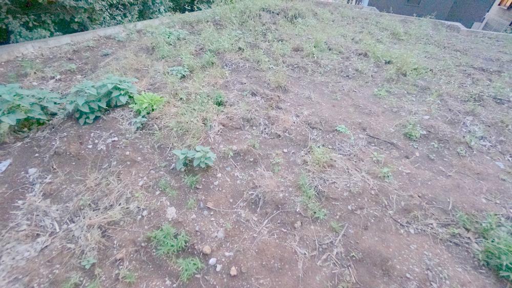 Local land photo. Current state