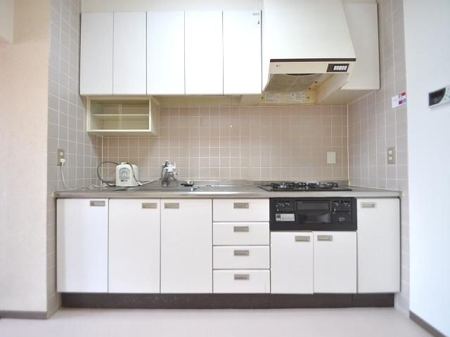 Kitchen. Estate large South Park Kitchen