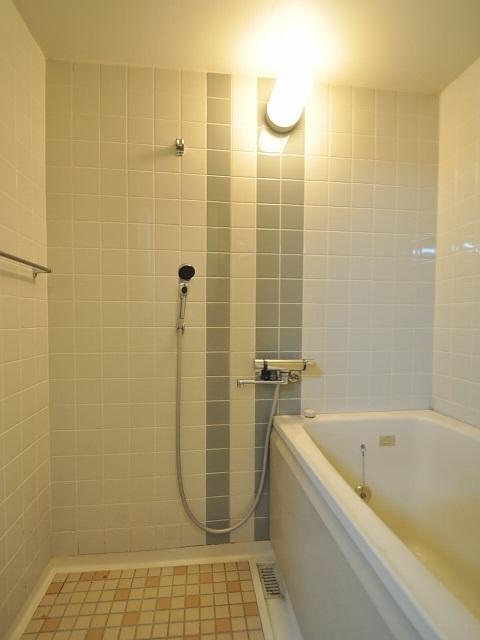 Bathroom. Estate large South Park bathroom