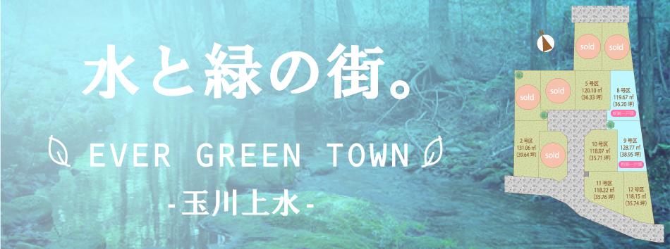 The entire compartment Figure. Water and green of the city. EVER GREEN TOWN Tamagawa. 