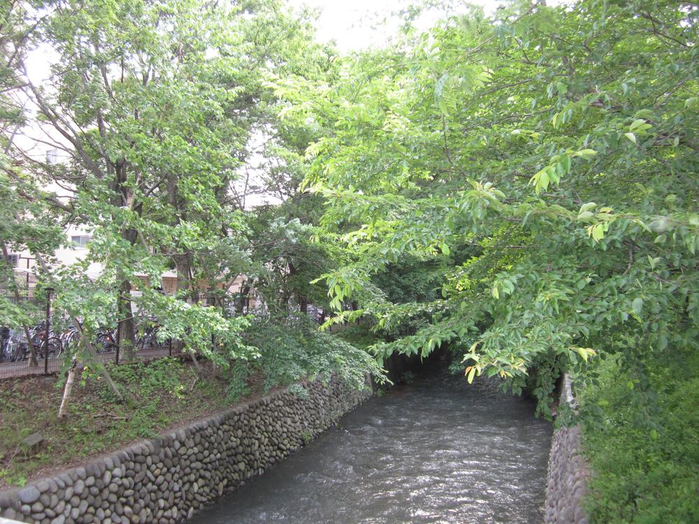 Other Environmental Photo. Tamagawa 1100m until the green road