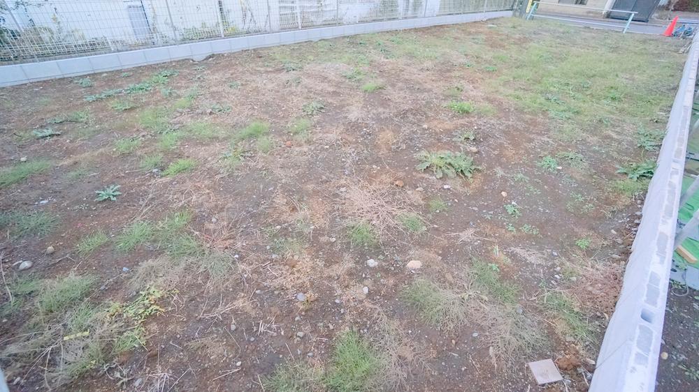 Local land photo. Current state