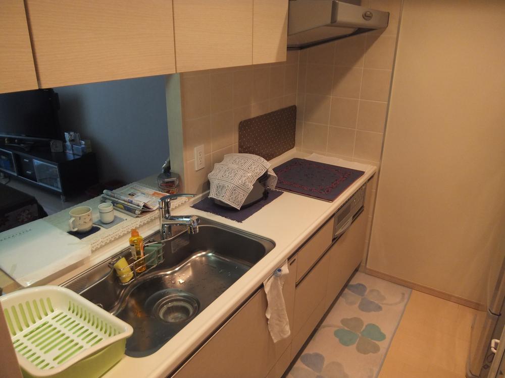 Kitchen. Indoor (12 May 2013) Shooting