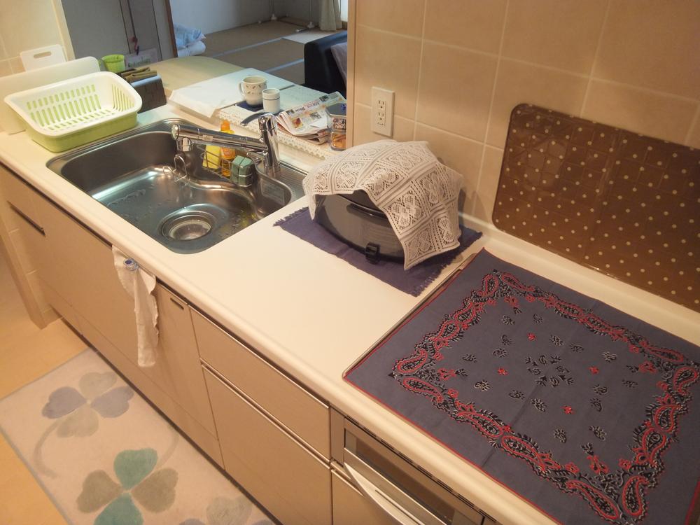 Kitchen. Indoor (12 May 2013) Shooting