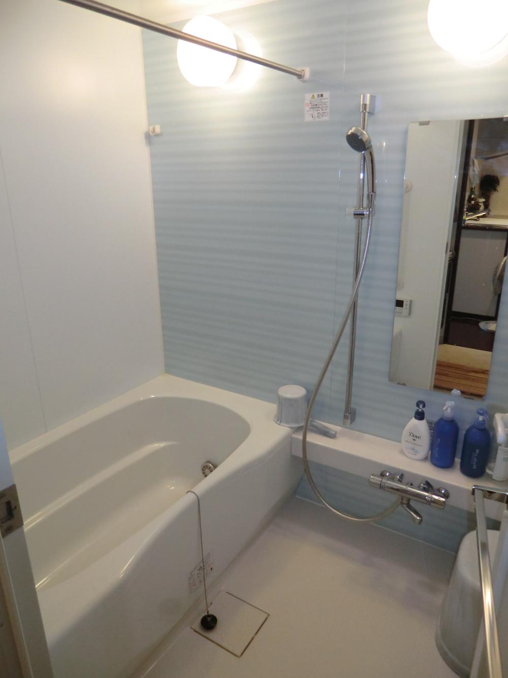 Bathroom. Room (August 2011) shooting