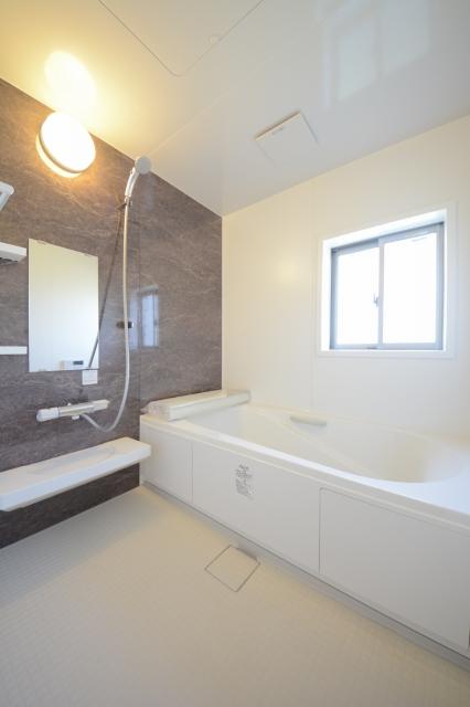 Bathroom. Bathroom interior (October 2013) Shooting