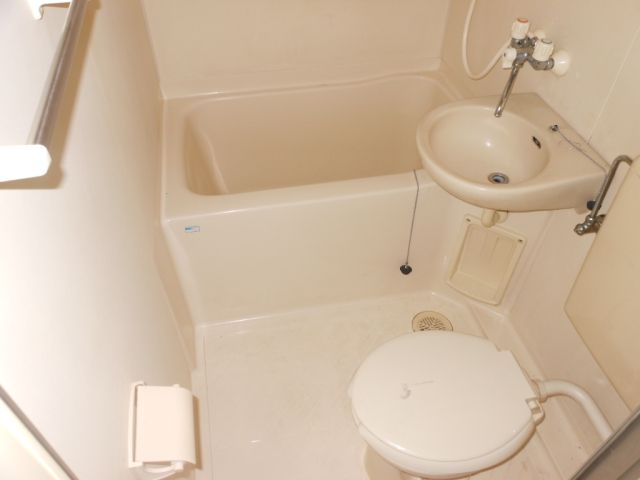 Bath. Cleaning Easy unit bus