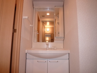Washroom. Shampoo dresser