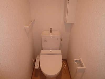 Toilet. Bidet