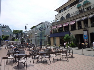 Other. 300m to open cafe (Other)