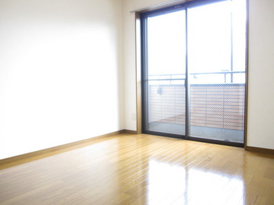 Living and room. Bright interior