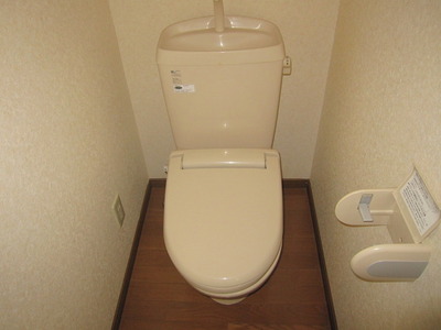 Toilet. Clean toilet