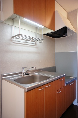 Kitchen. Gas stove is the type where I am placed in your tenants