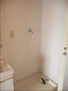 Washroom. Laundry Area