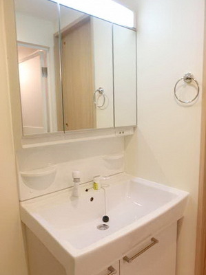 Washroom. Independent wash basin