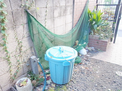 Other common areas. Garbage yard