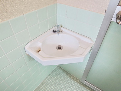 Washroom. Wash basin