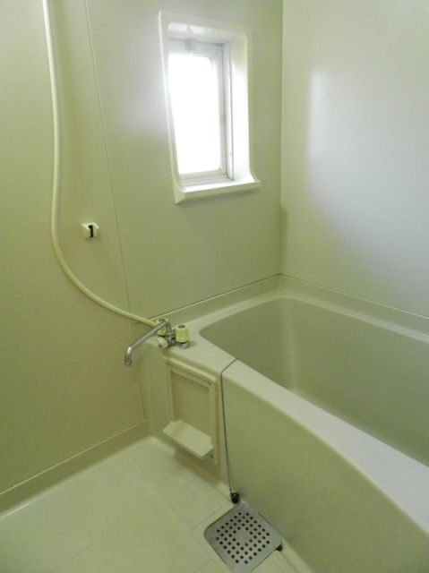 Bath. Windowed bathroom