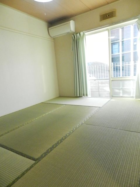 Living and room. Sunny Japanese-style